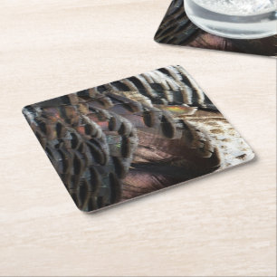 Wild Turkey Feathers I Abstract Nature Design Square Paper Coaster