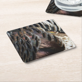 Wild Turkey Feathers I Abstract Nature Design Square Paper Coaster
