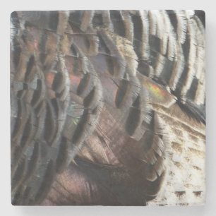Wild Turkey Feathers I Abstract Nature Design Stone Coaster