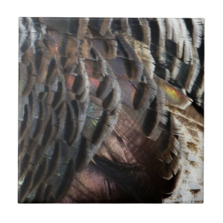 Wild Turkey Feathers I Abstract Nature Design Tile