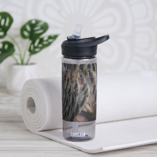 Wild Turkey Feathers I Abstract Nature Design Water Bottle