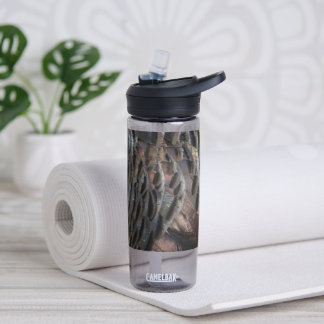Wild Turkey Feathers I Abstract Nature Design Water Bottle