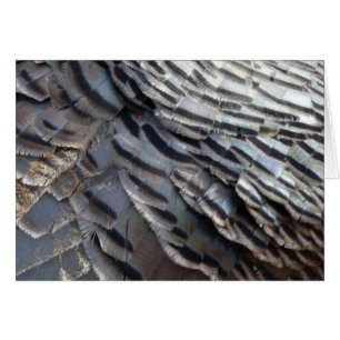 Wild Turkey Feathers II Abstract Nature Design
