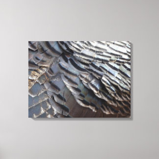 Wild Turkey Feathers II Abstract Nature Design Canvas Print
