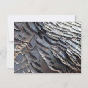 Wild Turkey Feathers II Abstract Nature Design Card