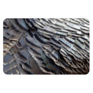Wild Turkey Feathers II Abstract Nature Design Magnet