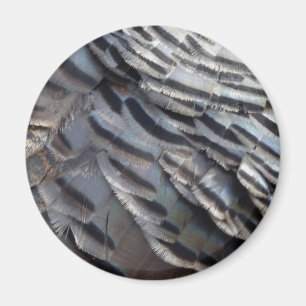 Wild Turkey Feathers II Abstract Nature Design Magnet