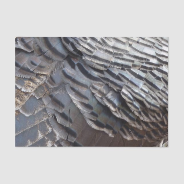 Wild Turkey Feathers II Abstract Nature Design Tissue Paper (Front)