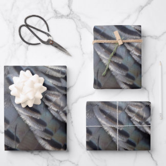 Wild Turkey Feathers II Abstract Nature Design Wrapping Paper Sheet