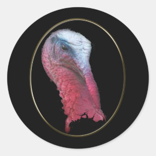 Wild Turkey Head Classic Round Sticker