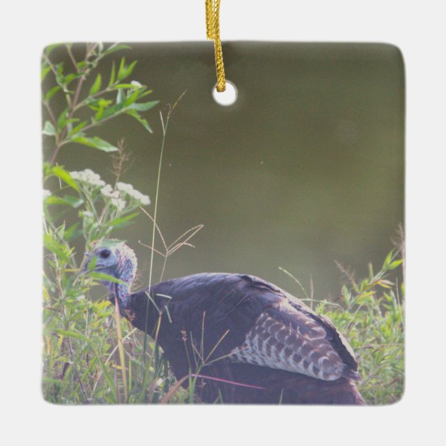 Wild Turkey Hiding in Grass Ornament (Front)