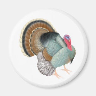 Wild Turkey Magnet