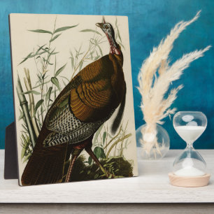 Wild Turkey (Male) from Audubon's Birds of America Plaque