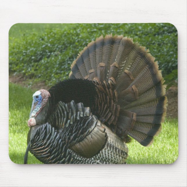 Wild Turkey Mouse Pad (Front)