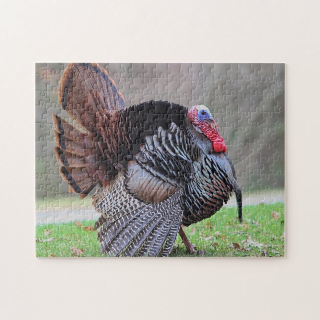 Wild turkey portrait jigsaw puzzle (Horizontal)