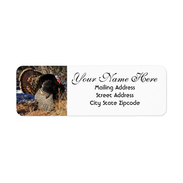 Wild Turkey Return Address (Front)