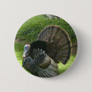 Wild Turkey Round Button