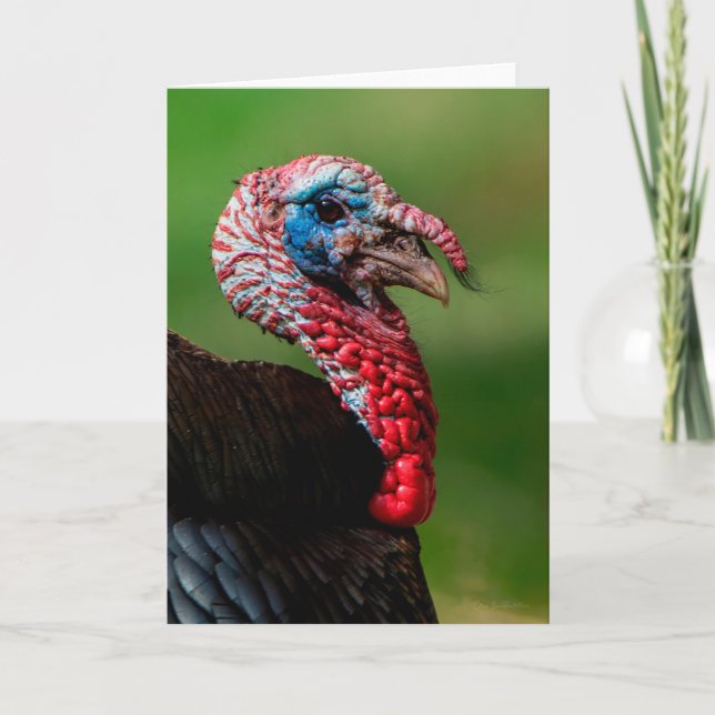 Wild Turkey Thank You Card (Front)