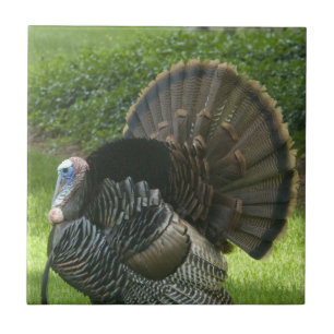 Wild Turkey Tile