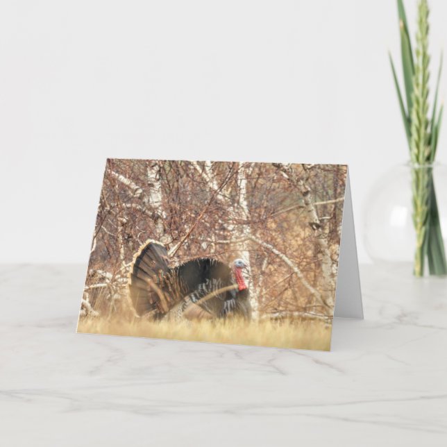 Wild Turkey Tom Note Card (Front)