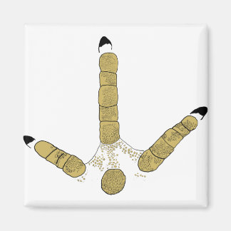 Wild Turkey Track Magnet