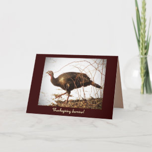 Wild Turkey Vegetarian Holiday Card