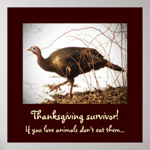 Wild Turkey Vegetarian Poster