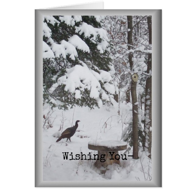 Wild Turkey Walking on Snow Framed Card (Front)