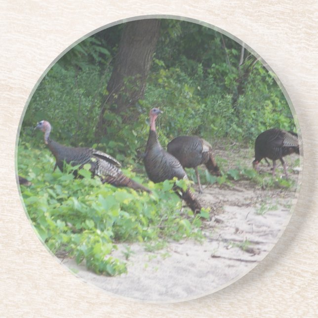 Wild Turkeys Coaster (Front)