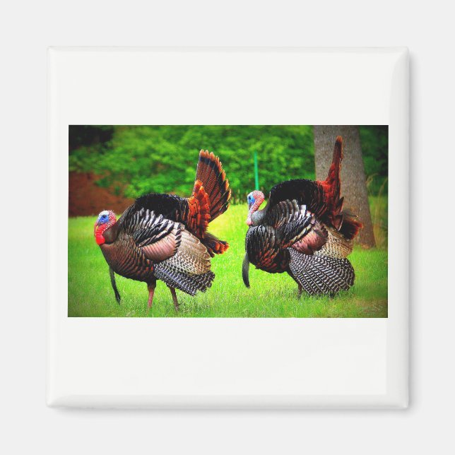 Wild Turkeys Decorated Magnet (Front)