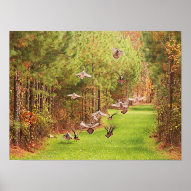 Wild Turkey's In Flight Poster (Front)