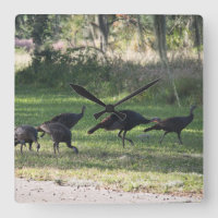 Wild Turkeys in the Grass Photo