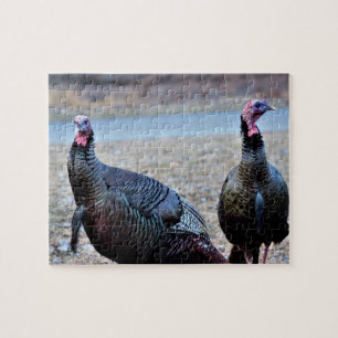 Wild Turkeys Jigsaw Puzzle