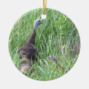 Wild Turkeys Ornament