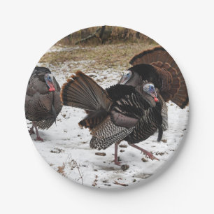 Wild Turkeys Strutting Their Stuff Paper Plate