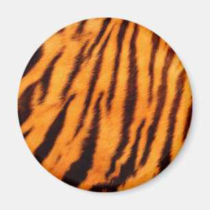 Wild & Vibrant Orange Tiger Stripes Magnet