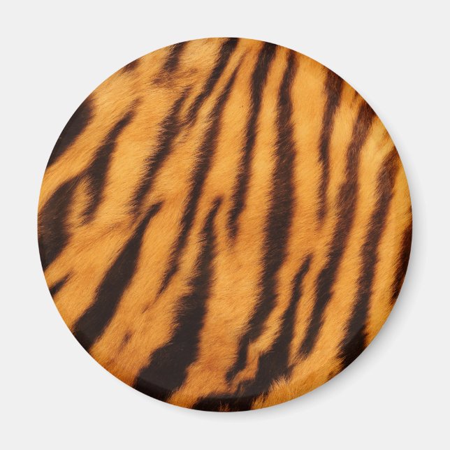 Wild & Vibrant Orange Tiger Stripes Magnet (Front)