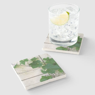 Wild Vine Stone Coaster
