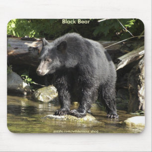 WILD WARRIORS Black Bear Photo Collection Mouse Pad