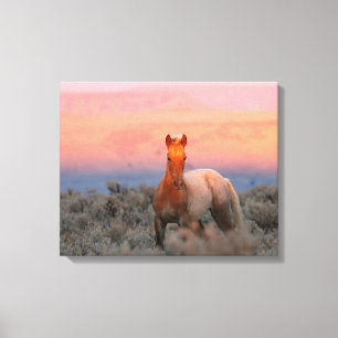 Wild West Colt  Canvas Print
