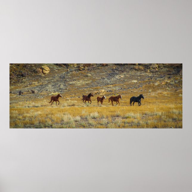 Wild West Poster (Front)