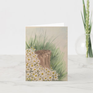 Wild white daisies by tree stump - blank folded card