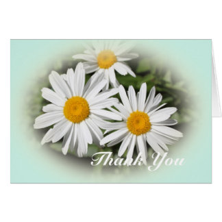 wild white daisy flowers thank you