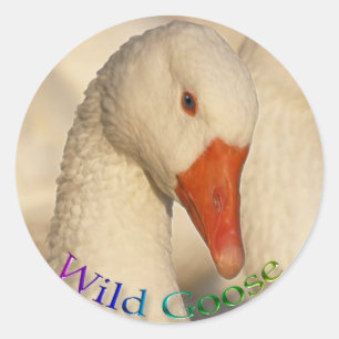Wild White Goose Bird Wildlife Sticker