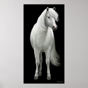 Wild White Horse Poster
