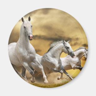 Wild White Horses Magnet
