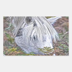 Wild White New Forest Pony Grazing on Bracken Rectangular Sticker