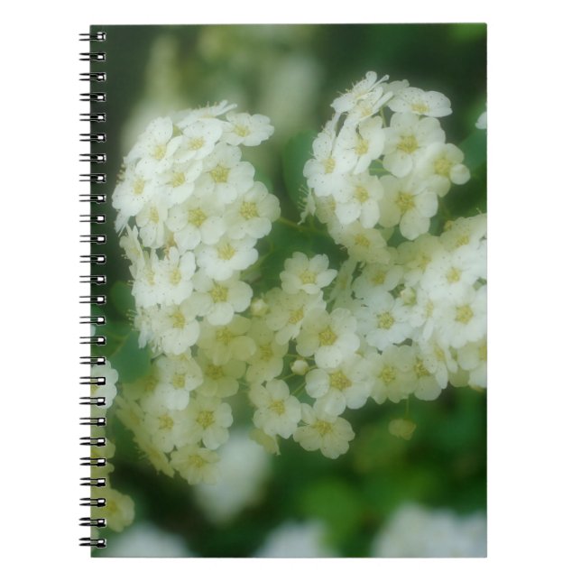 Wild White Rambling Roses Flower Nature Spiral Notebook (Front)