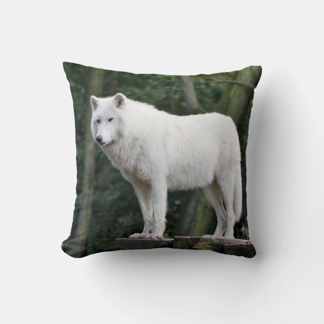 Wild White Wolf Cushion (Front)