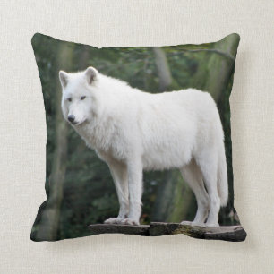 Wild White Wolf Cushion